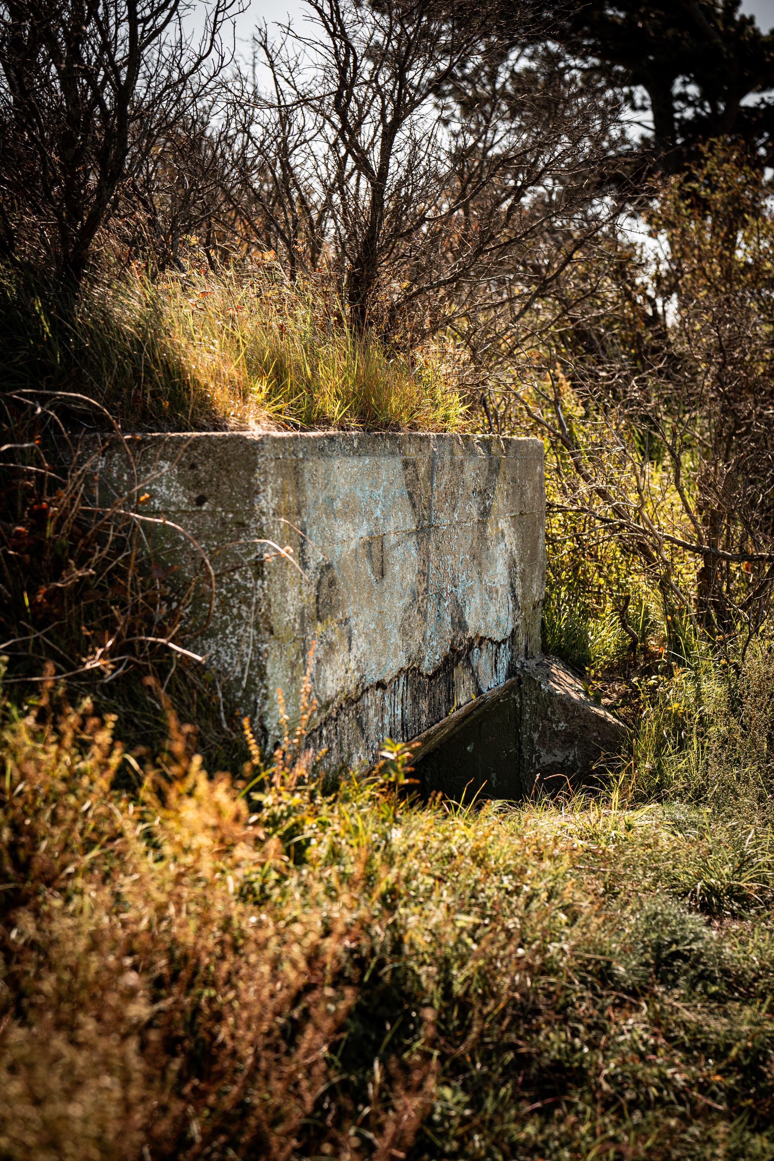 die Bunkeranlage auf der Insel Hiddensee